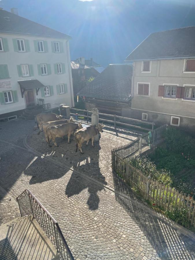Beverin Bed & Breakfast *